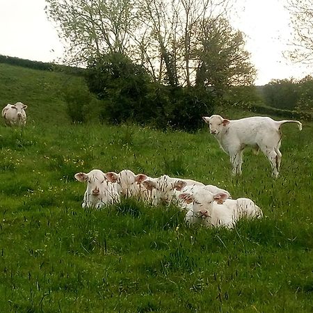 Gite A La Ferme Le Rousset Eksteriør bilde