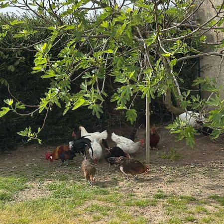 Gite A La Ferme Le Rousset Eksteriør bilde
